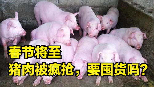 春節將至，豬肉漲價潮下囤貨成理性選擇？