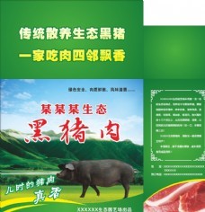 設計案例圖片與素材免費下載全攻略 告別資源焦慮